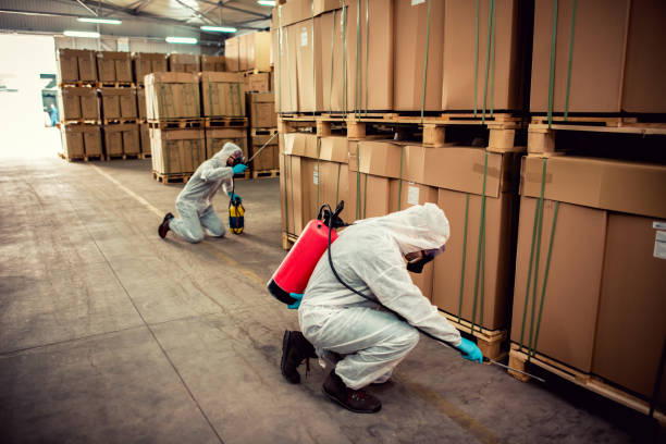 Best Residential Pest Control  in Fkville, AL