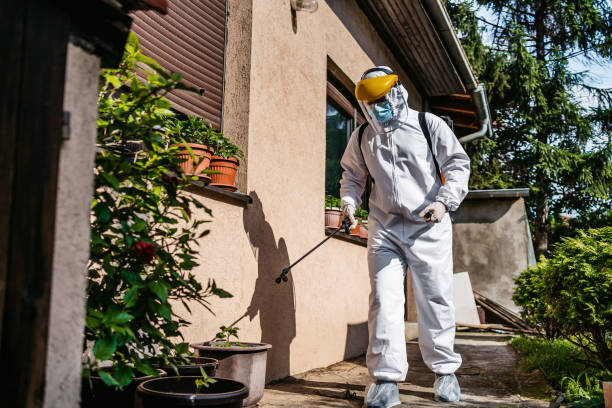 Best Flea Control Services  in Fkville, AL