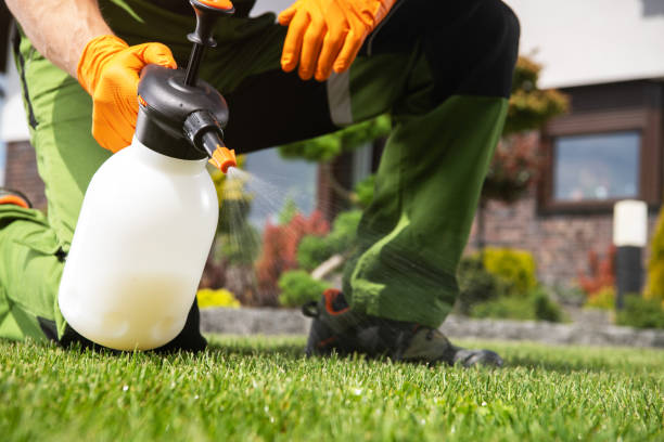 Best Pest Prevention Services  in Fkville, AL