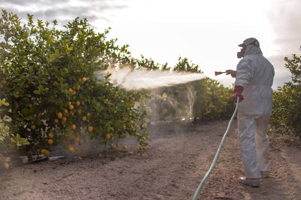 Best Commercial Pest Control Services  in Fkville, AL