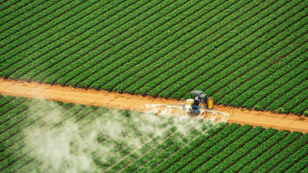 Falkville, AL Pest Control Company