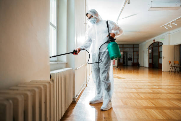 Best Affordable Exterminators  in Fkville, AL