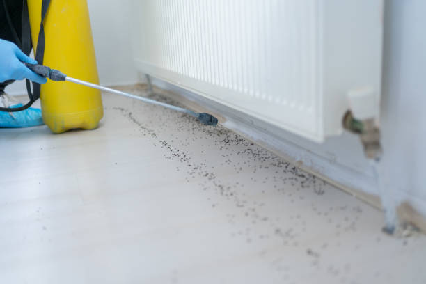 Best Exterminator Services  in Fkville, AL