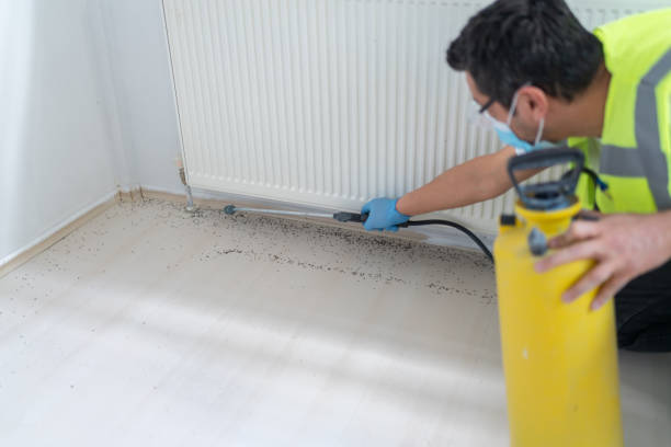 Best Pest Inspection Near Me  in Fkville, AL