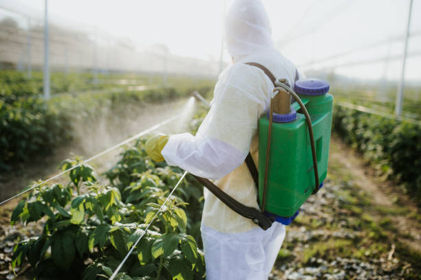Best Local Pest Control Services  in Fkville, AL
